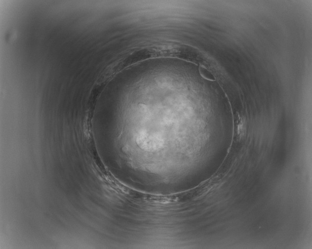 X0000069810819200605261746