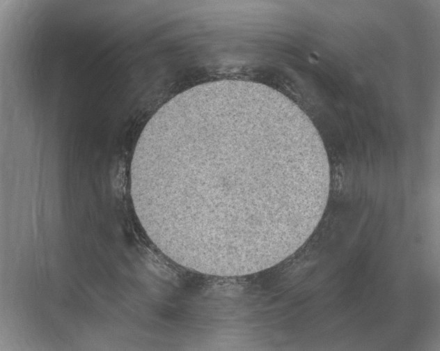 X0000069810820200605261746