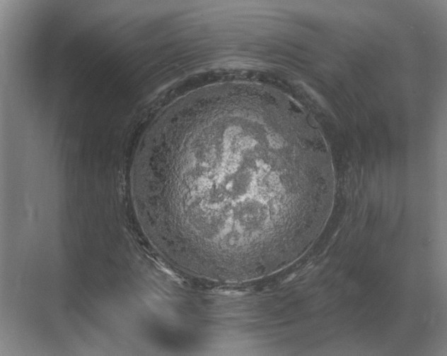 X0000069810821200605261746