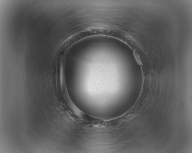 X0000069810822200605261746