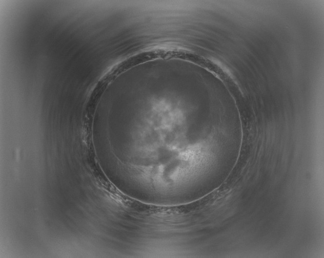 X0000069810823200605261746