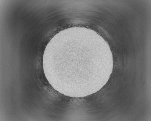 X0000069810824200605261746