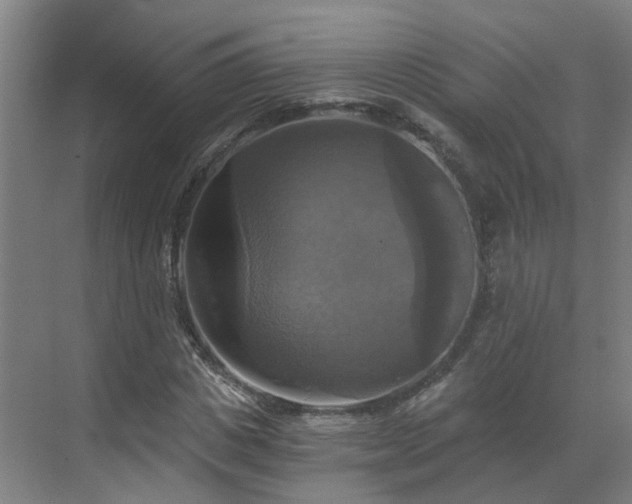 X0000069810825200605261746