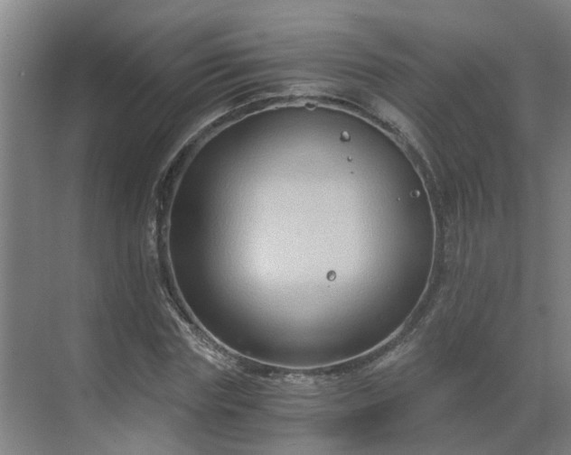 X0000069810827200605261746