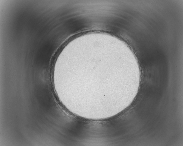 X0000069810828200605261746