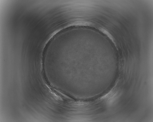 X0000069810829200605261746