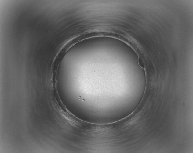 X0000069810830200605261746