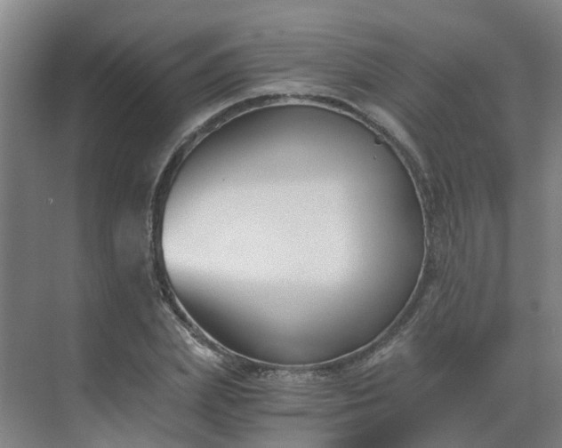 X0000069810831200605261746