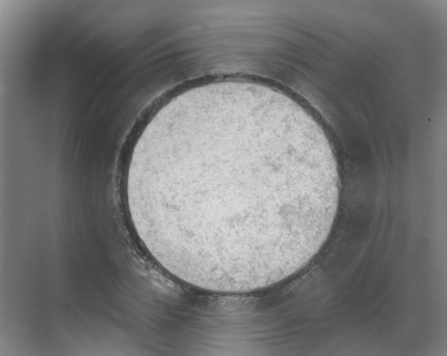 X0000069810832200605261746