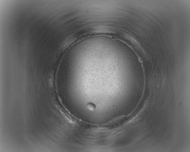 X0000069810833200605261746