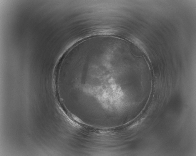 X0000069810835200605261746