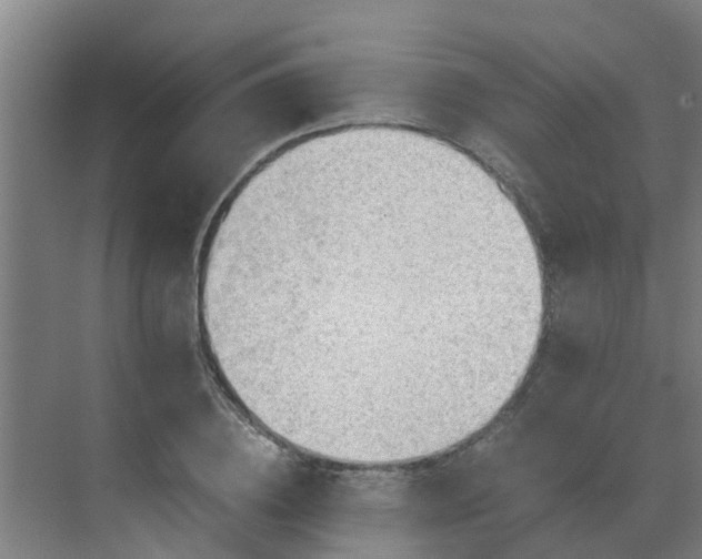 X0000069810836200605261746