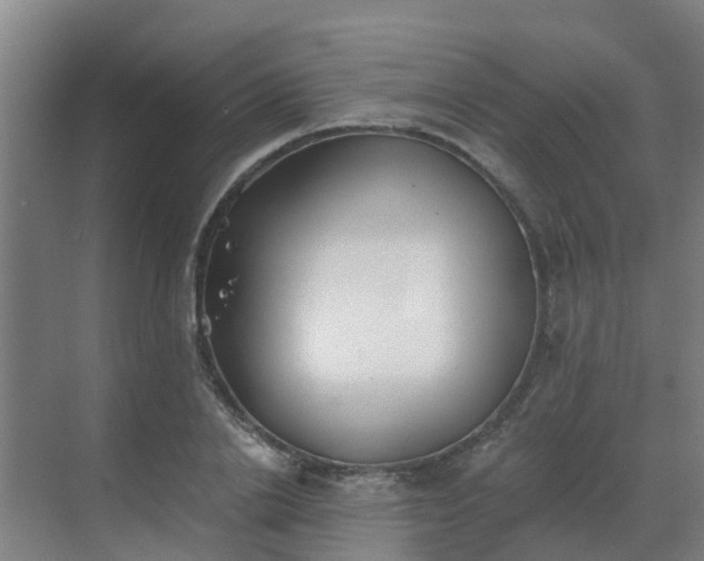 X0000069810838200605261746