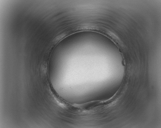 X0000069810841200605261746