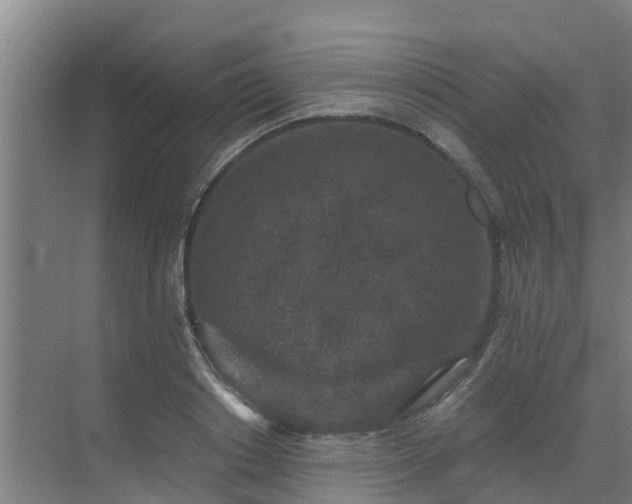 X0000069810842200605261746