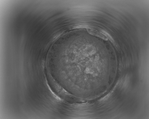 X0000069810849200605261746