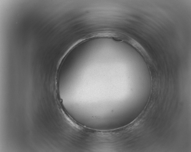 X0000069810852200605261746