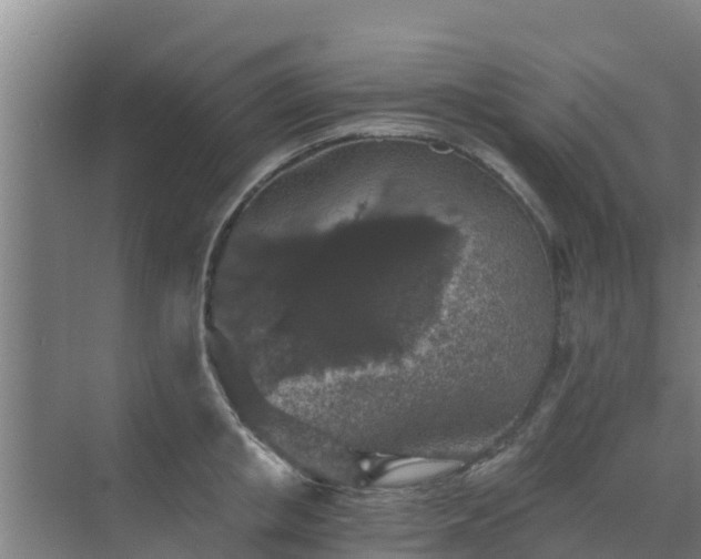 X0000069810853200605261747