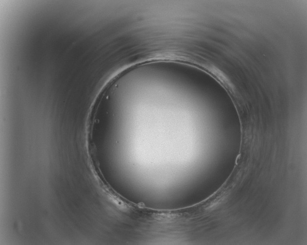 X0000069810854200605261747