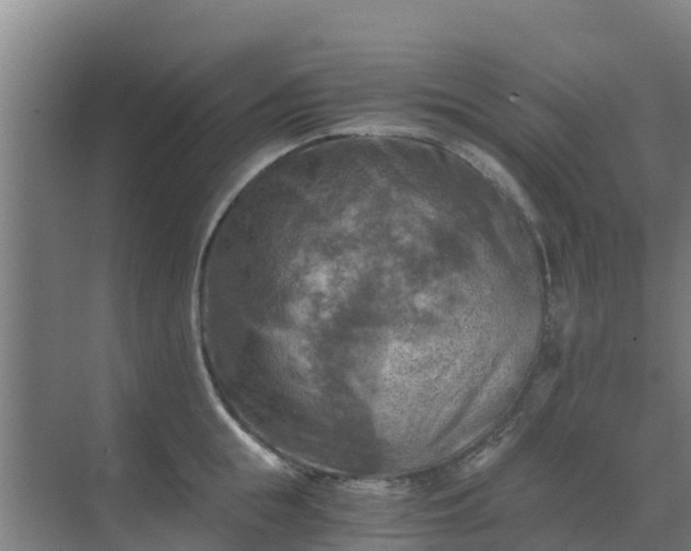 X0000069810855200605261747