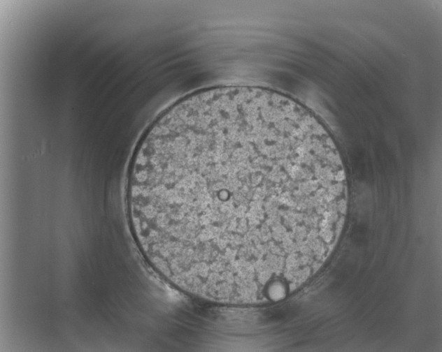 X0000069810856200605261747