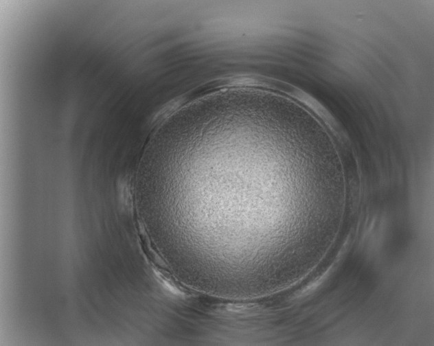 X0000069810857200605261747