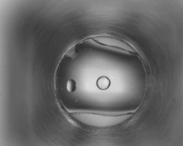 X0000069810858200605261747