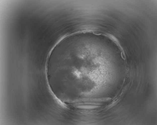 X0000069810859200605261747