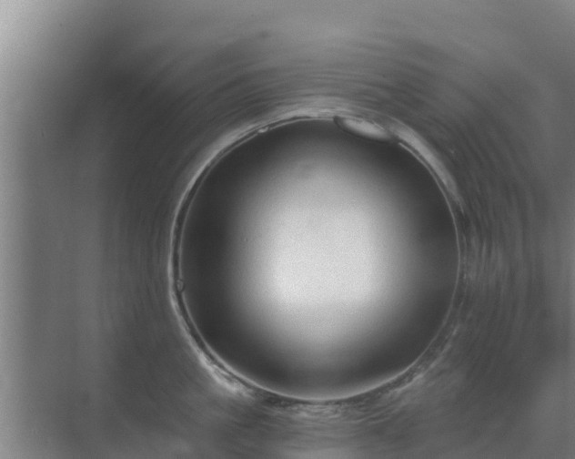 X0000069810861200605261747