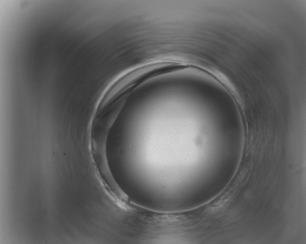 X0000069810862200605261747