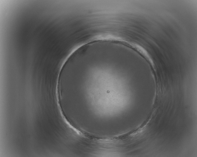 X0000069810863200605261747