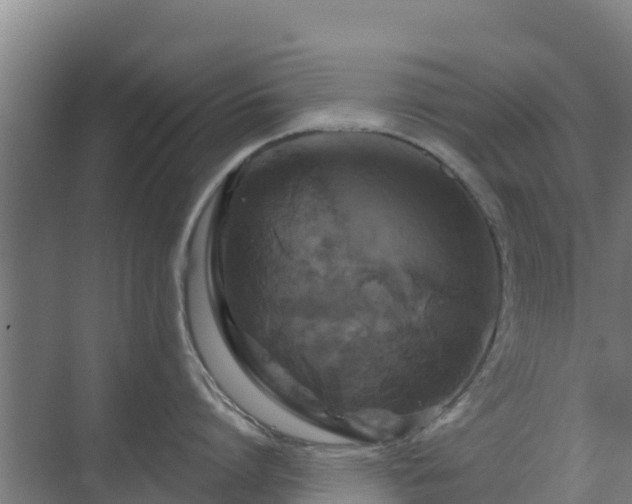 X0000069810864200605261747