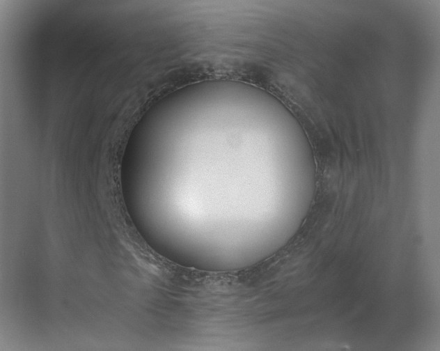 X0000069810865200605261746