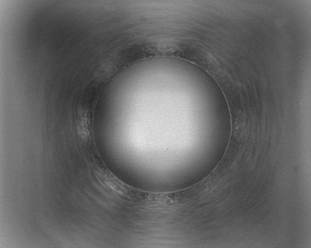 X0000069810866200605261746