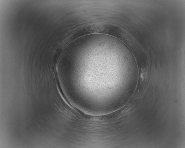 X0000069810867200605261746