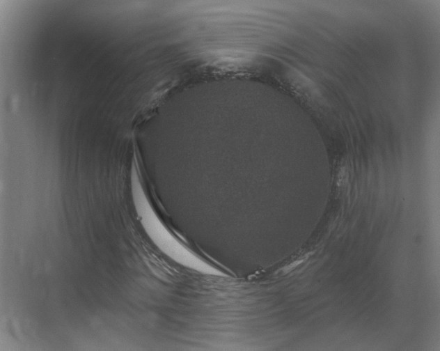 X0000069810868200605261746