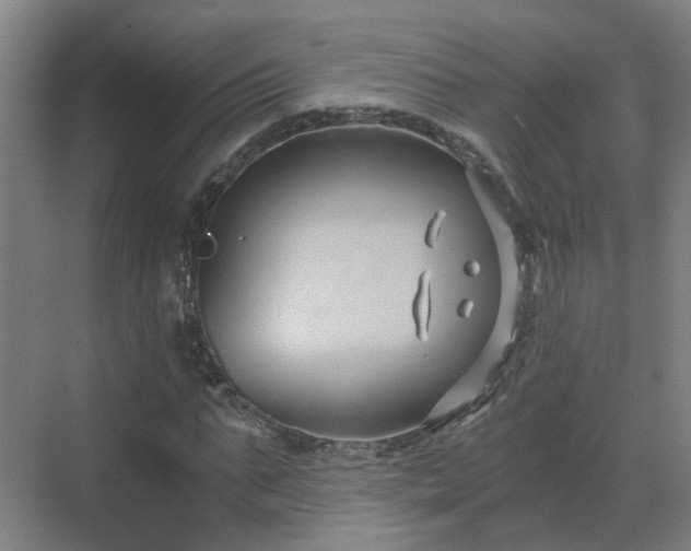 X0000069810871200605261746