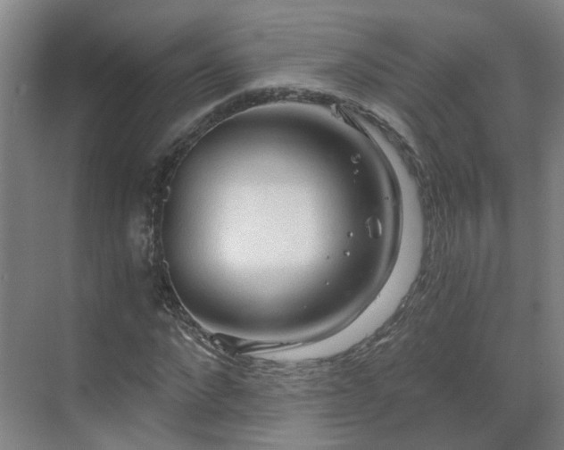 X0000069810872200605261746