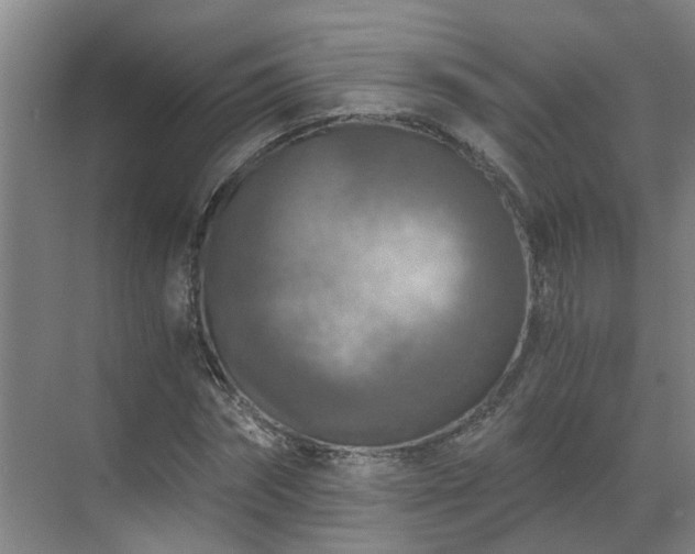 X0000069810874200605261746