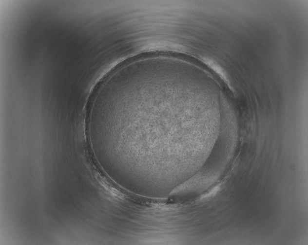 X0000069810877200605261746