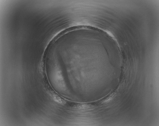 X0000069810879200605261746