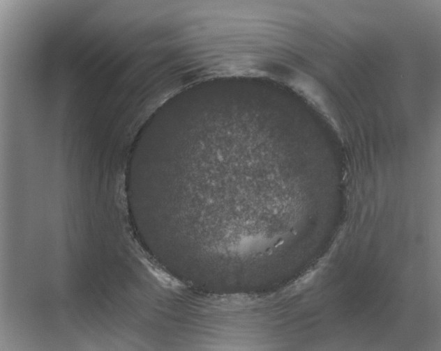 X0000069810881200605261746