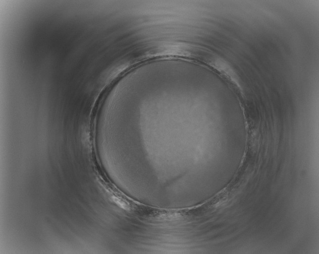 X0000069810882200605261746