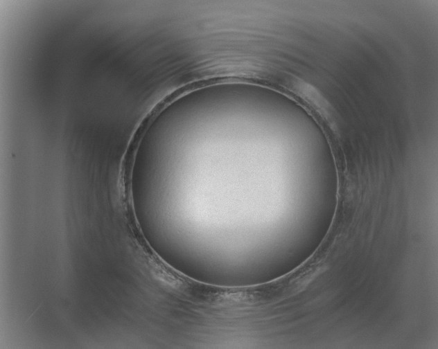 X0000069810883200605261746