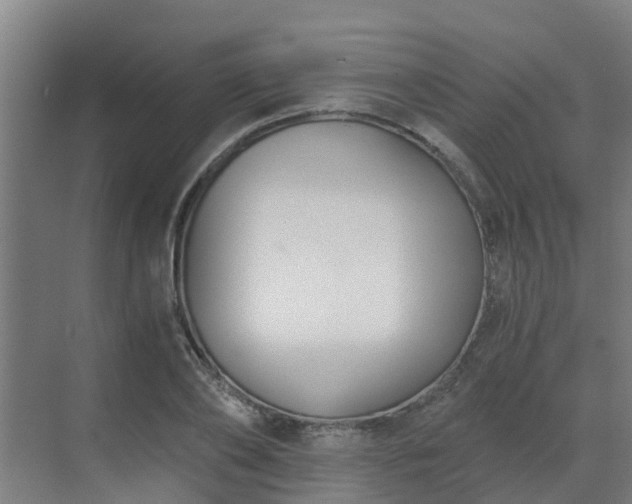 X0000069810886200605261746