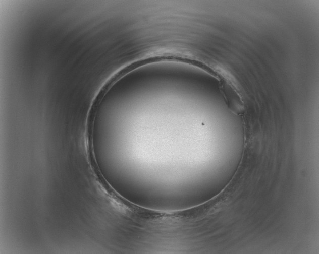 X0000069810888200605261745