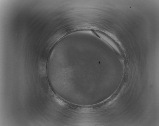 X0000069810889200605261745