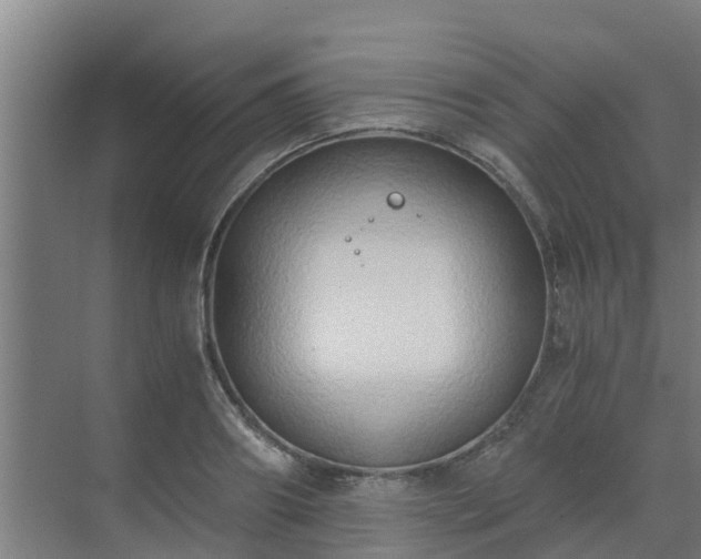 X0000069810890200605261745