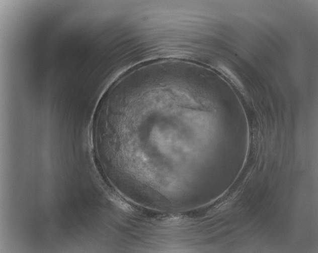 X0000069810891200605261745