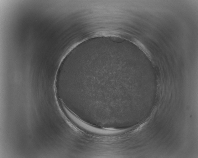 X0000069810893200605261745